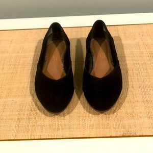 Toms Jutti Neat flat in Black Suede